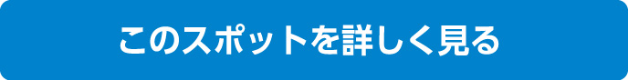 スポット詳細へ